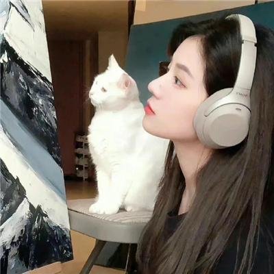 少爷仔